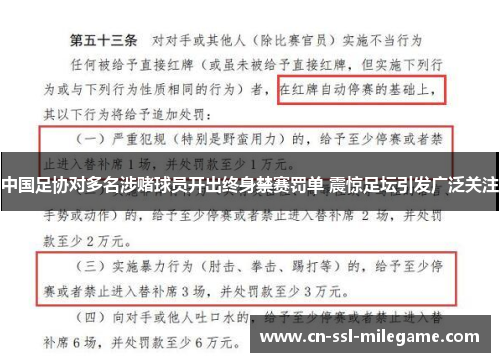 中国足协对多名涉赌球员开出终身禁赛罚单 震惊足坛引发广泛关注